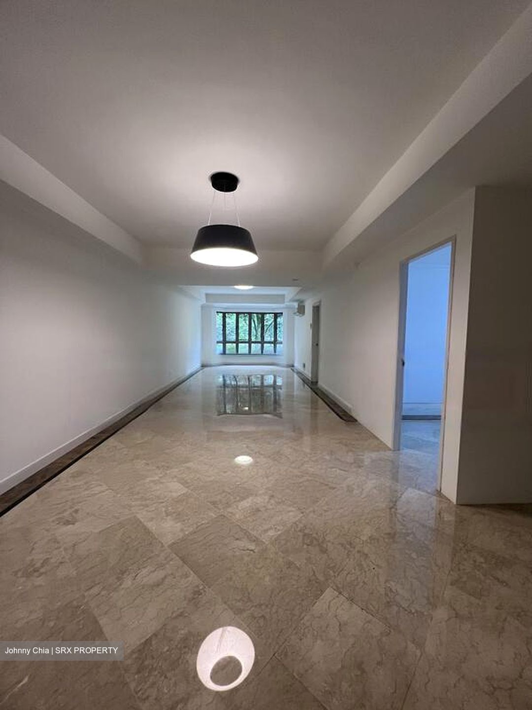 Cavenagh Lodge (D9), Apartment #434981281